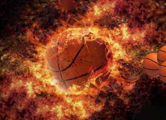 My99exch: The Complete Guide for New Users