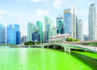 Gulf Employment Trends: How Gulfhindi Empowers Job Seekers and Expats gulfhindi