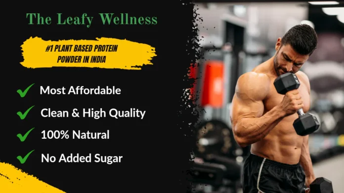 Plant_based_Protein_Powder_1024_x_576_px__20250909_174120_0000