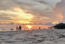 Why February Is the Perfect Time for a Romantic Andaman Getaway