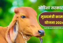 Kamdhenu Yojana Odisha Apply Online: Check Application Date & Full Procedure
