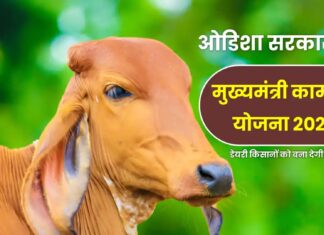 Kamdhenu Yojana Odisha Apply Online: Check Application Date & Full Procedure