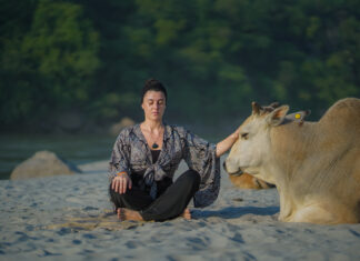 Beyond the Mat: Discovering the Path to Holistic Wellness and Inner Peace Mimamsa Yogshala