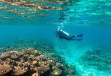 Unlocking the Silent World: The Magic of the Andaman Sea scuba diving in Havelock