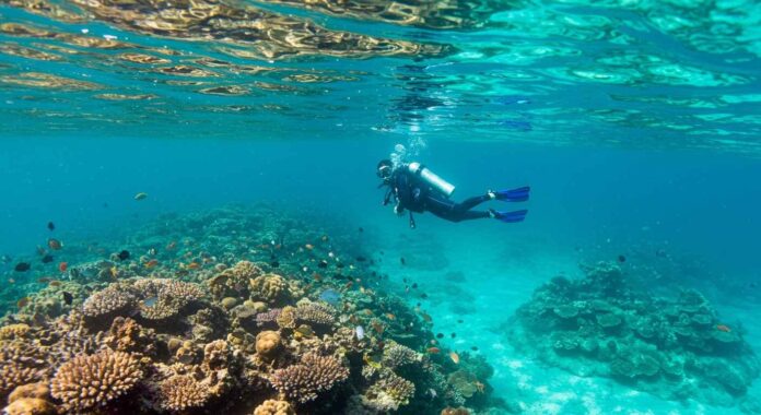scuba diving in Havelock