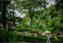 Why Rishikesh Is Called the Yoga Capital of the World yoga teacher training in Rishikesh