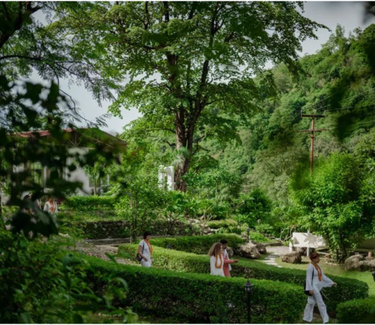 Why Rishikesh Is Called the Yoga Capital of the World yoga teacher training in Rishikesh